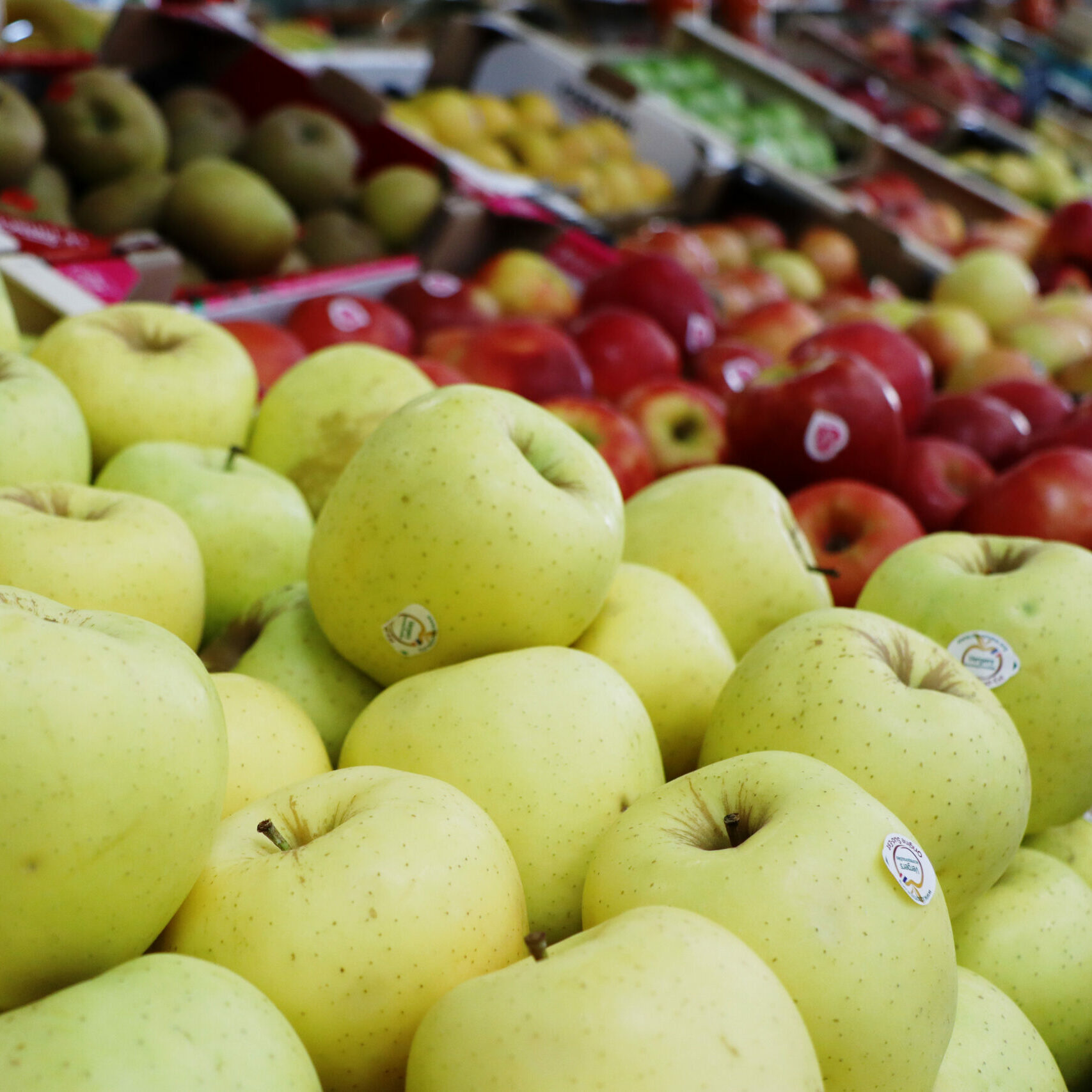 Notre boutique Esprit Terroir à Aix-en-Provence